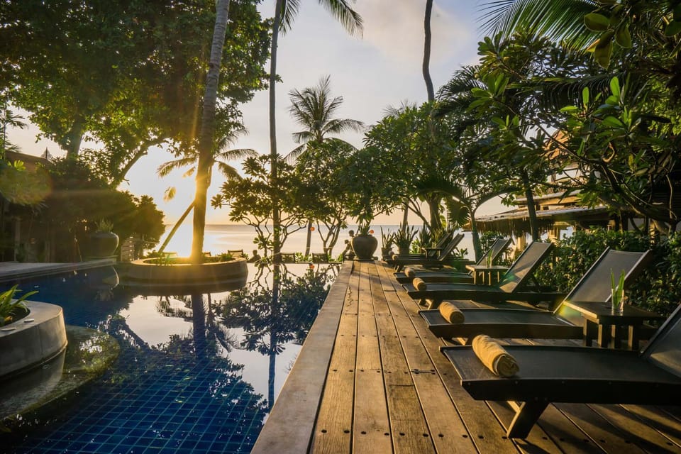 Day, Natural landscape, Garden, Garden view, Pool view, Swimming pool, Swimming pool, sunbed