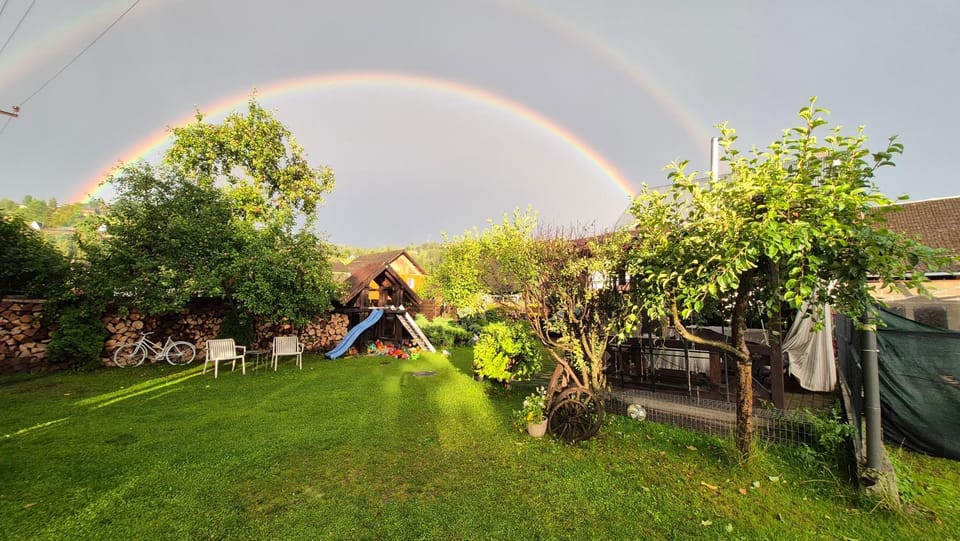 Day, Natural landscape, Garden