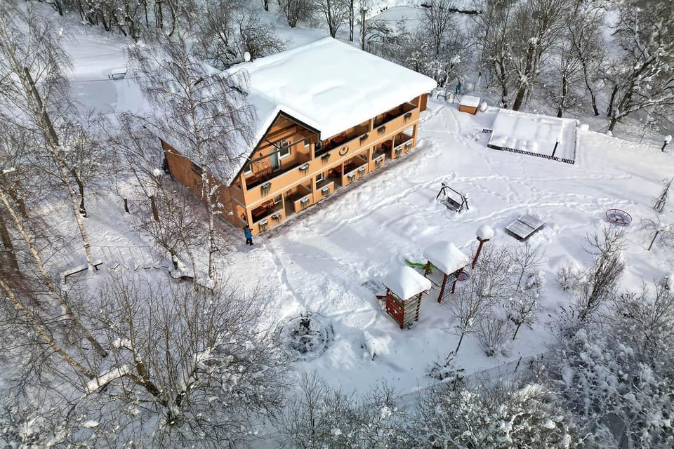 Property building, Winter, Garden
