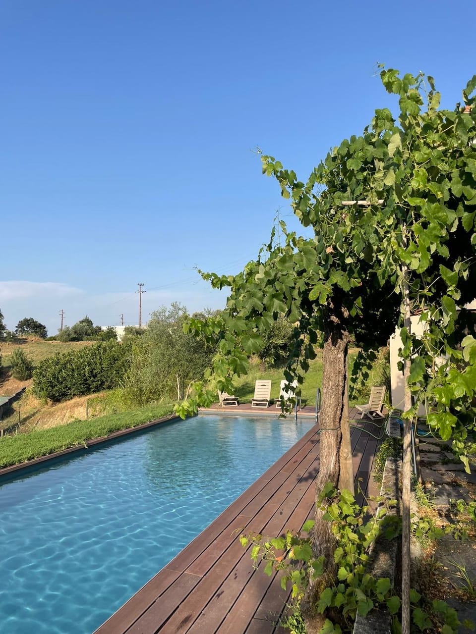 Vale das Maias - Casa de Campo Country House in Aveiro District, Portugal