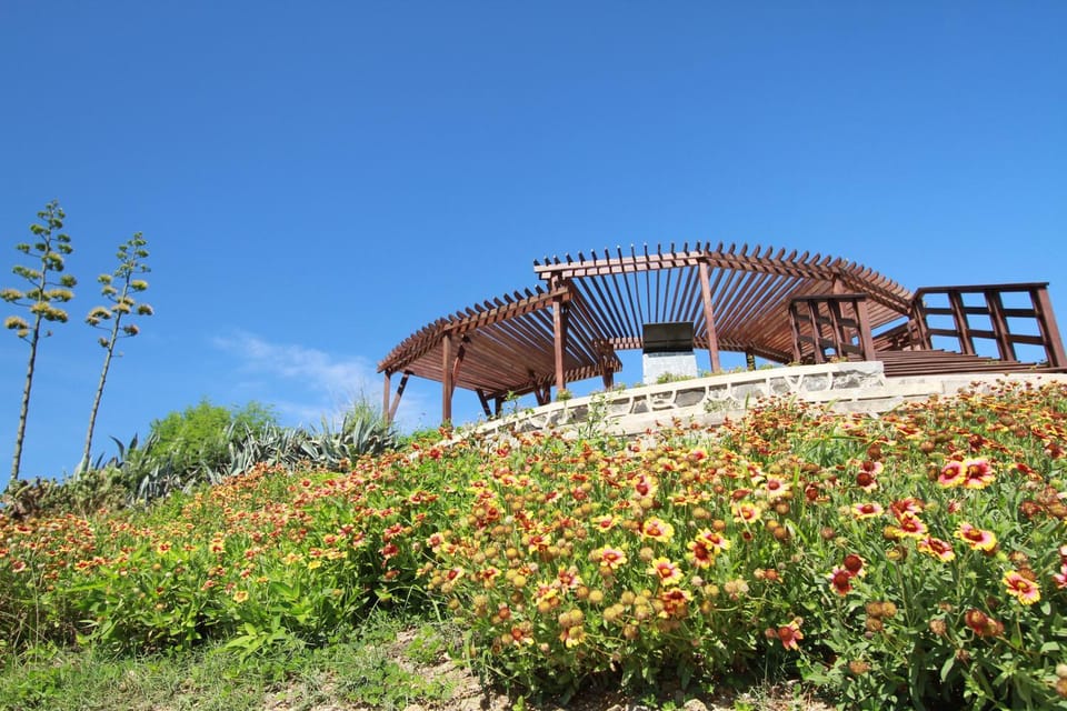 Other, Landmark view
