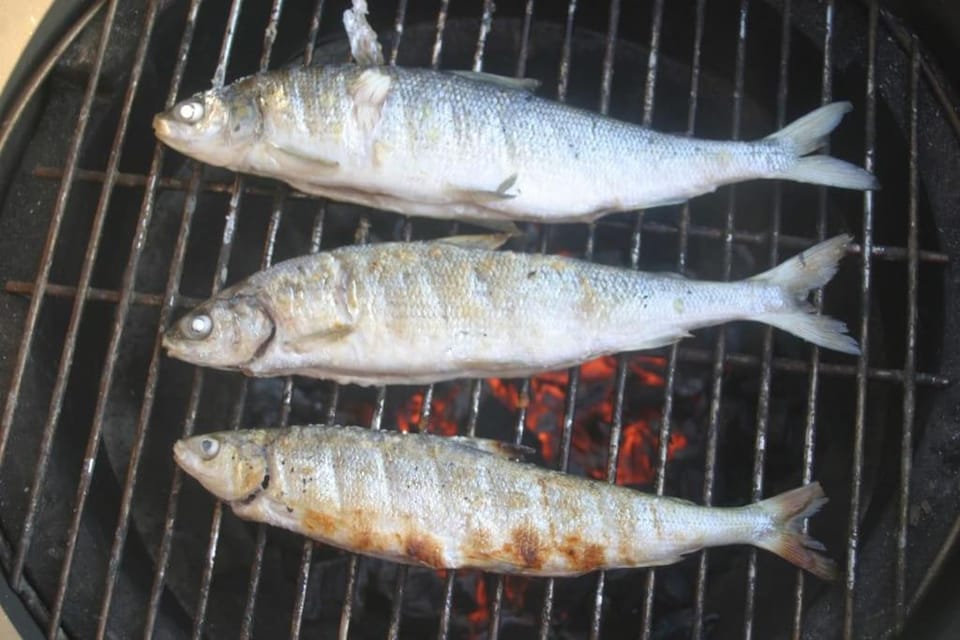 BBQ facilities