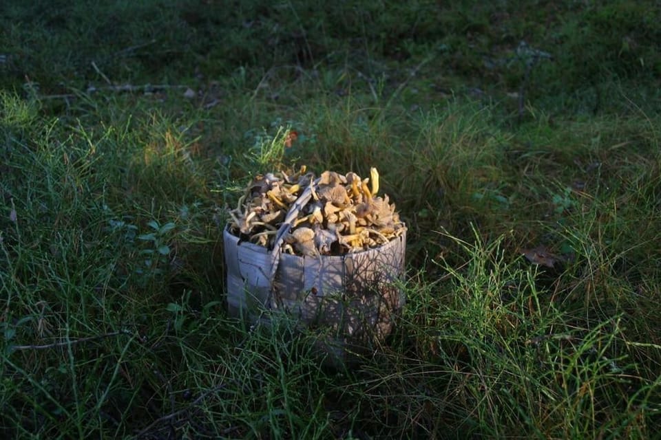 Off site, Natural landscape