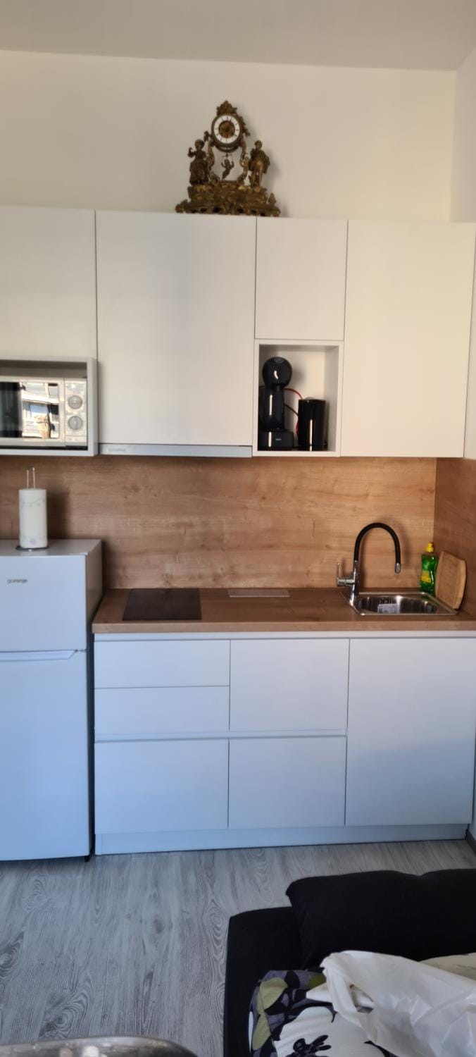 Coffee/tea facilities, Kitchen or kitchenette, minibar, stove