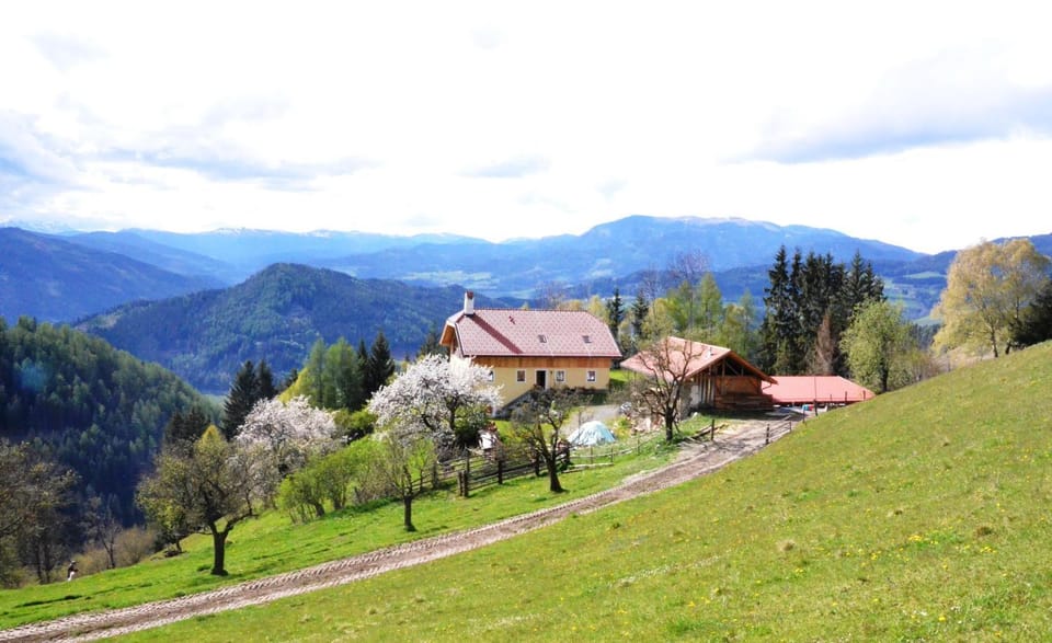 Natural landscape