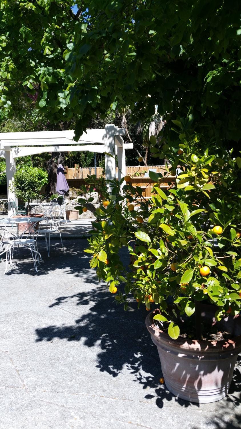 Le Clos du Loup House in Roquefort-les-Pins