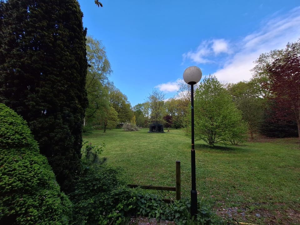 Property building, Garden view