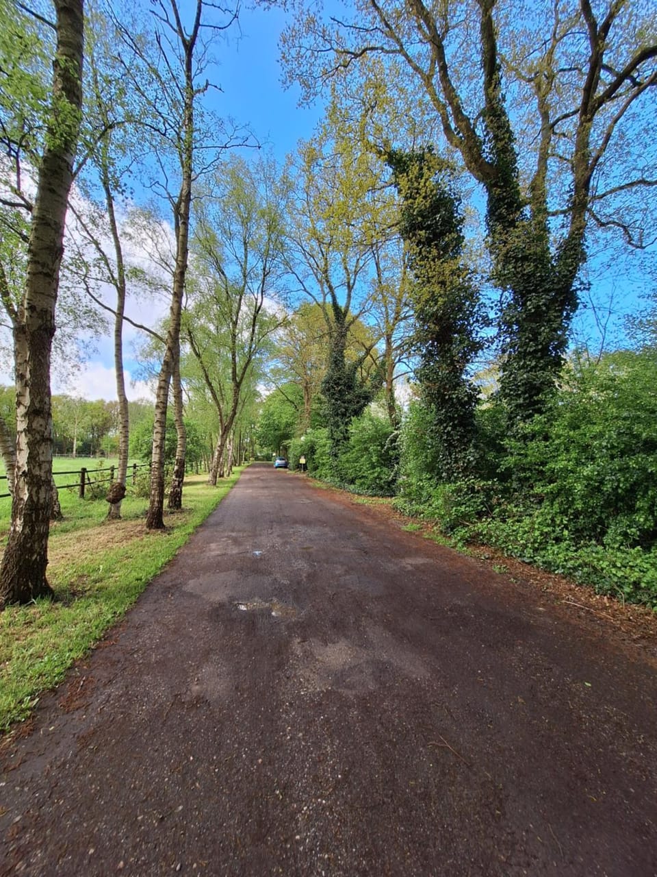 Property building, Day