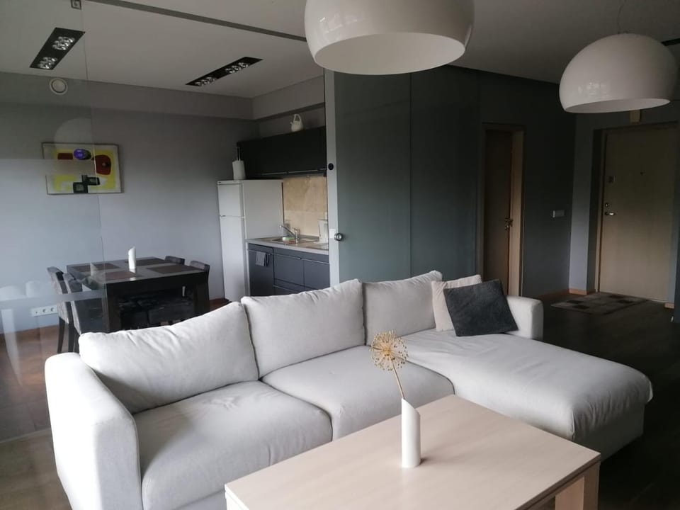 Central Druskininkai Apartment Apartment in Lithuania