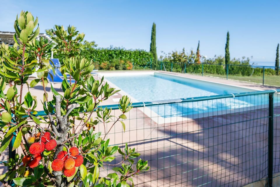 Garden view, Pool view