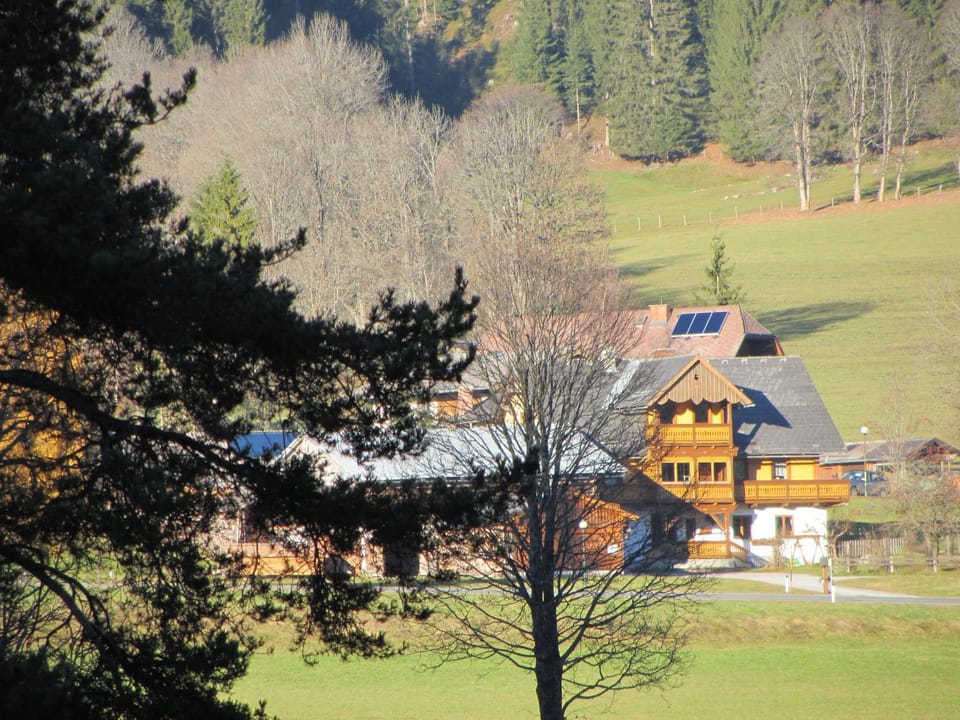 Property building, Off site, Day, Summer