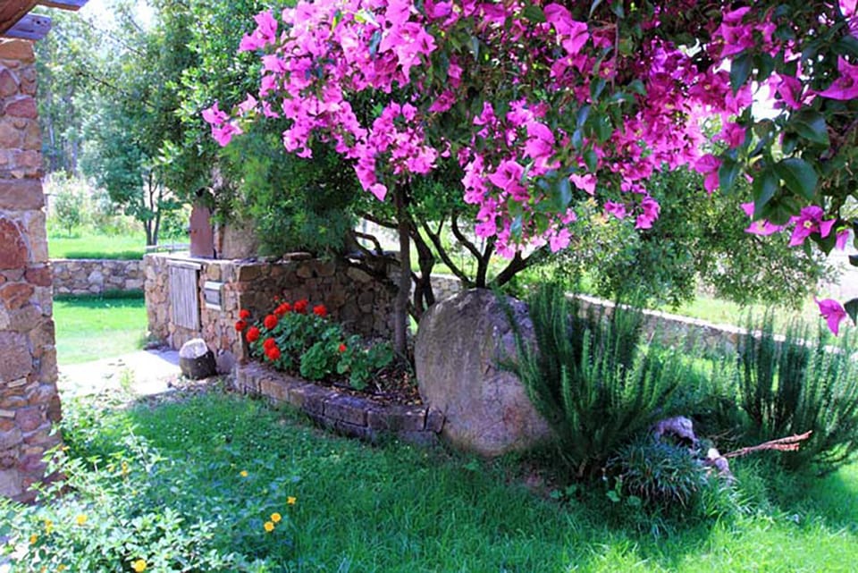 Property building, BBQ facilities