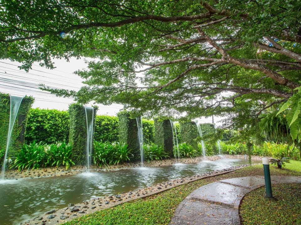 Natural landscape, Garden, Garden view