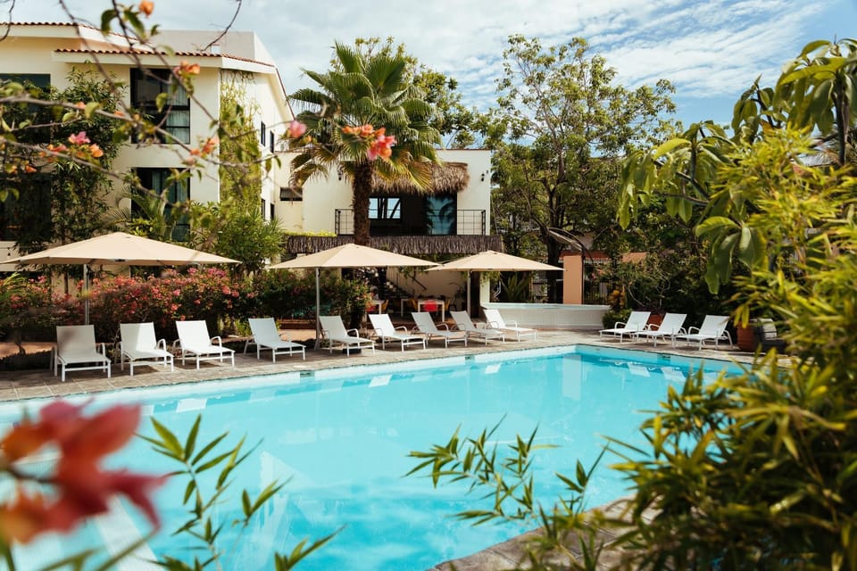 Patio, Restaurant/places to eat, Spring, Bird's eye view, Winter, Summer, Garden, Autumn, Garden view, Pool view, Swimming pool, Sunset