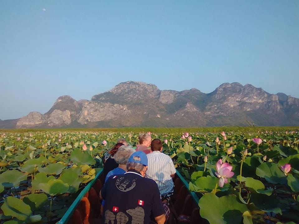 Natural landscape, Activities