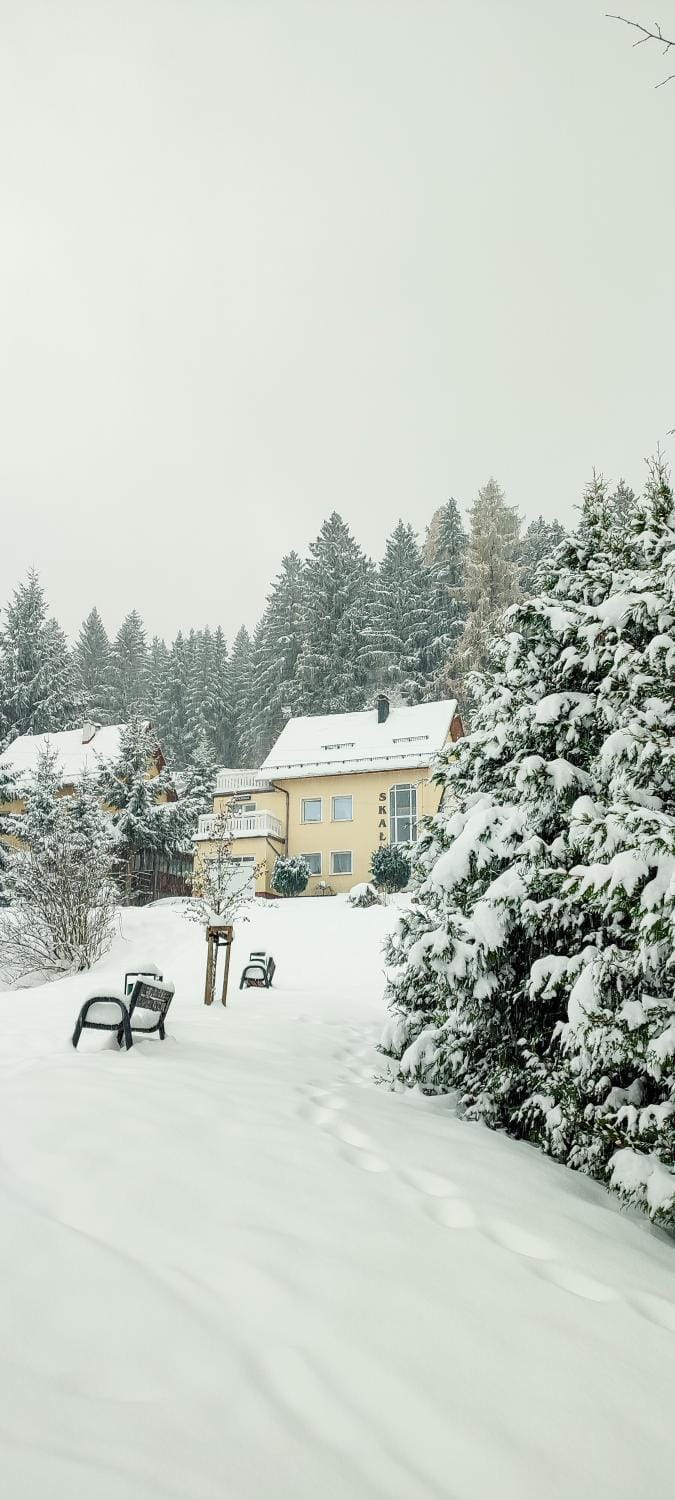 Willa Skałka Vacation rental in Lower Silesian Voivodeship