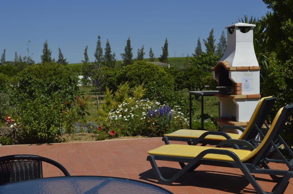 Day, Garden, Balcony/Terrace, sunbed