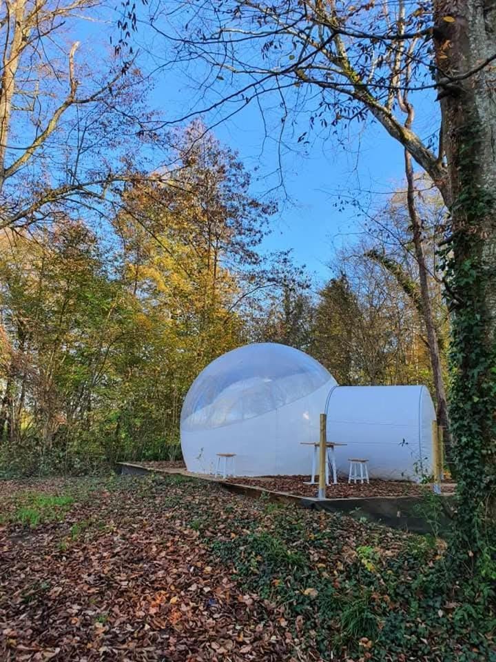 Photo of the whole room, Garden view