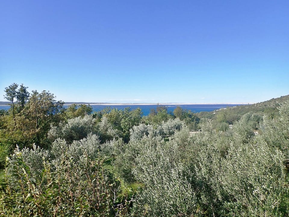 Natural landscape, View (from property/room)