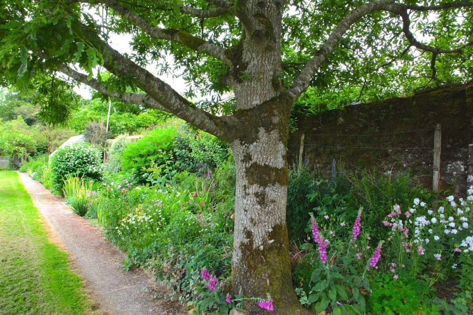 Willowhill House Bed and Breakfast P43 YK06 Bed and Breakfast in County Cork