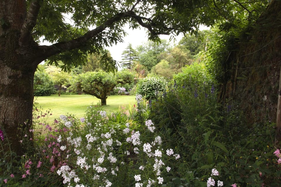 Willowhill House Bed and Breakfast P43 YK06 Bed and Breakfast in County Cork