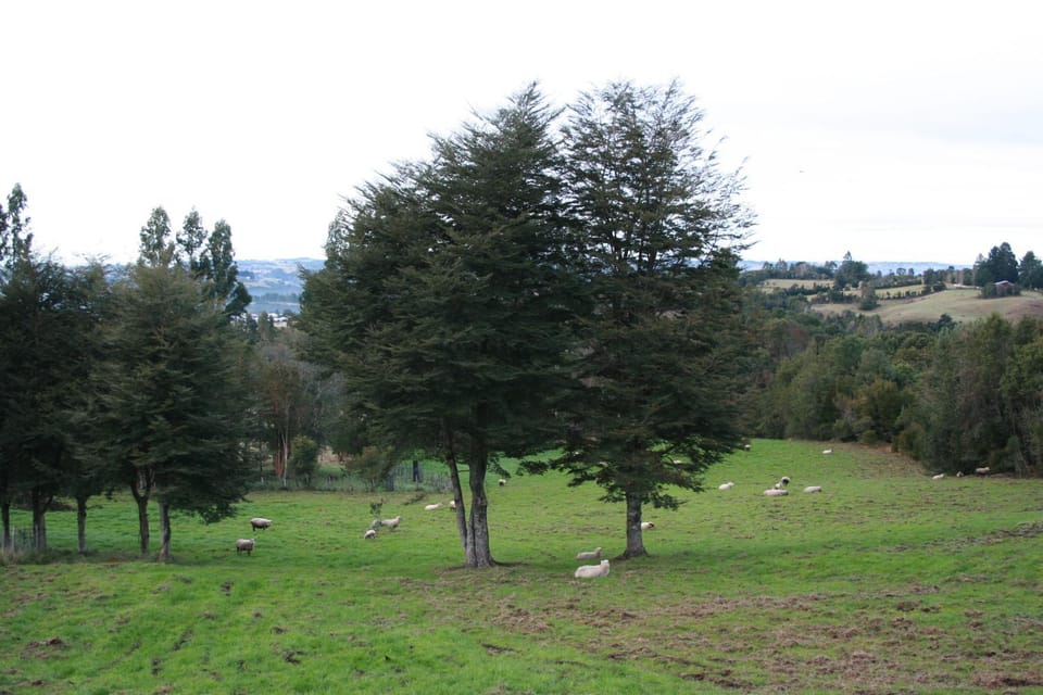Landmark view, Mountain view