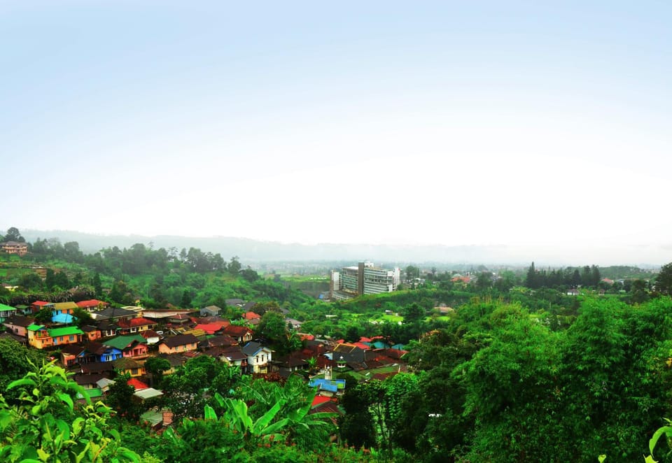 City view