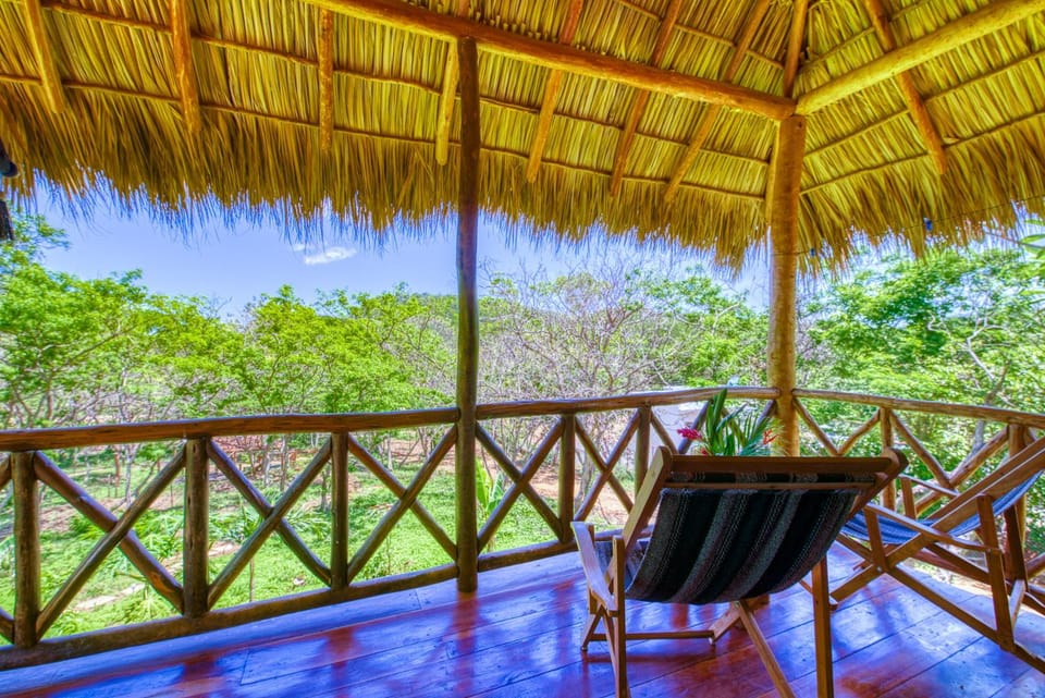 Patio, Day, Garden view