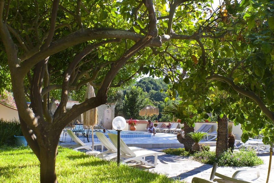 Garden, Swimming pool