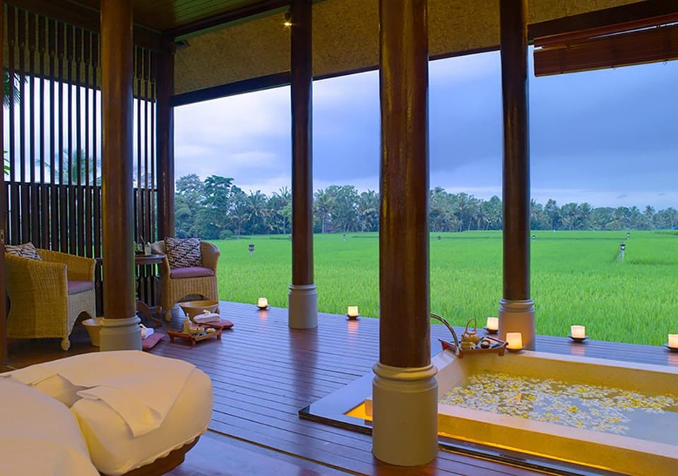 Spa and wellness centre/facilities