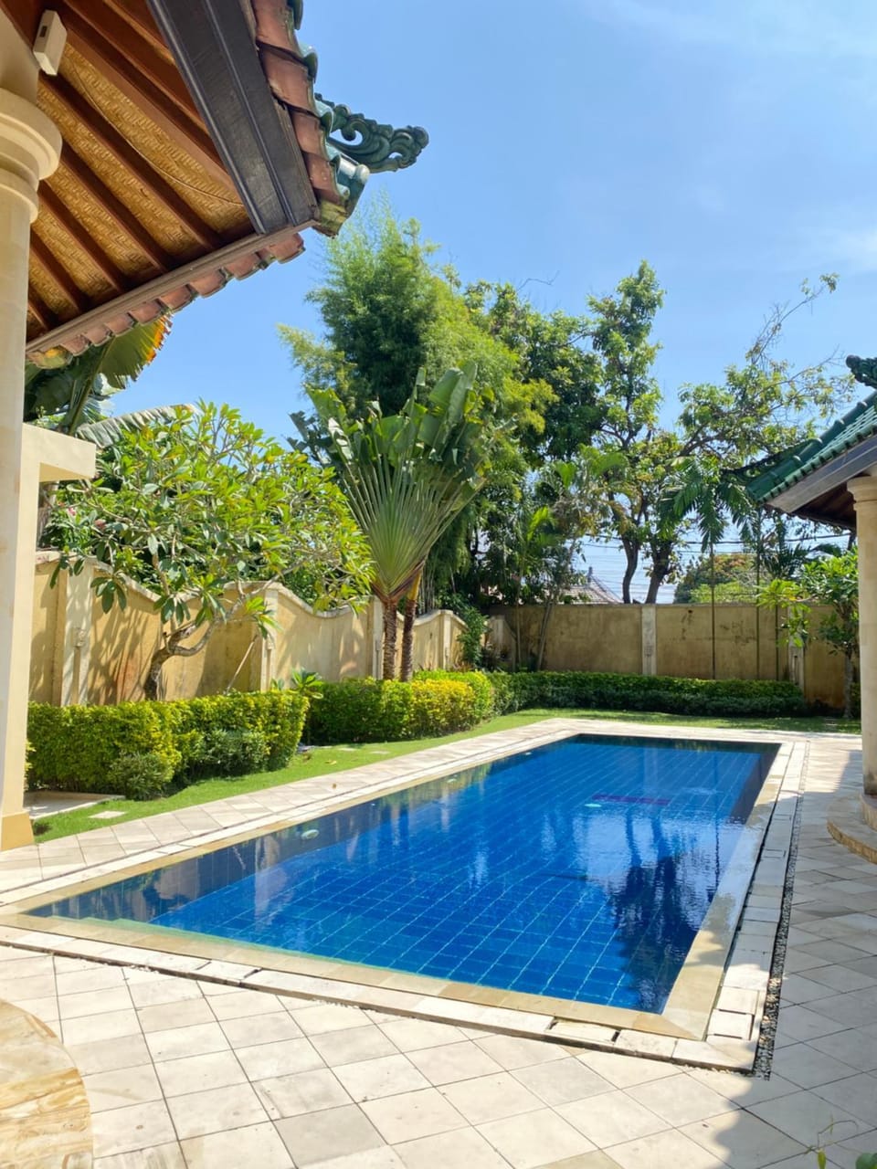 Spring, Garden, Garden view, Pool view, Swimming pool, sunbed