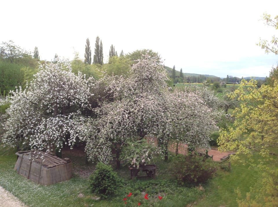 View (from property/room)