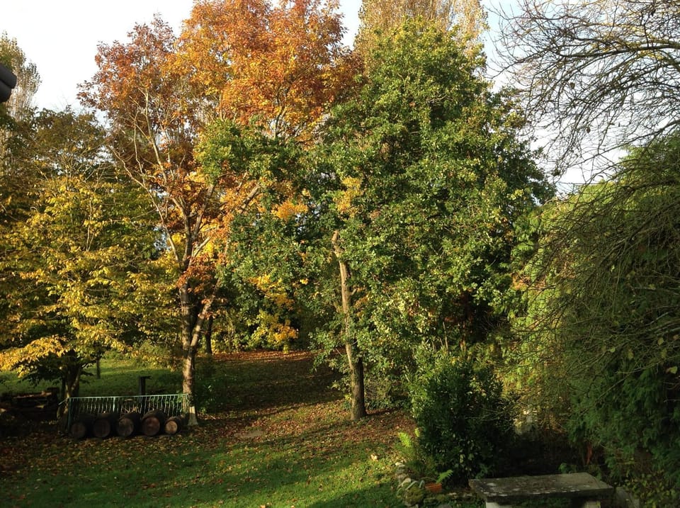View (from property/room)