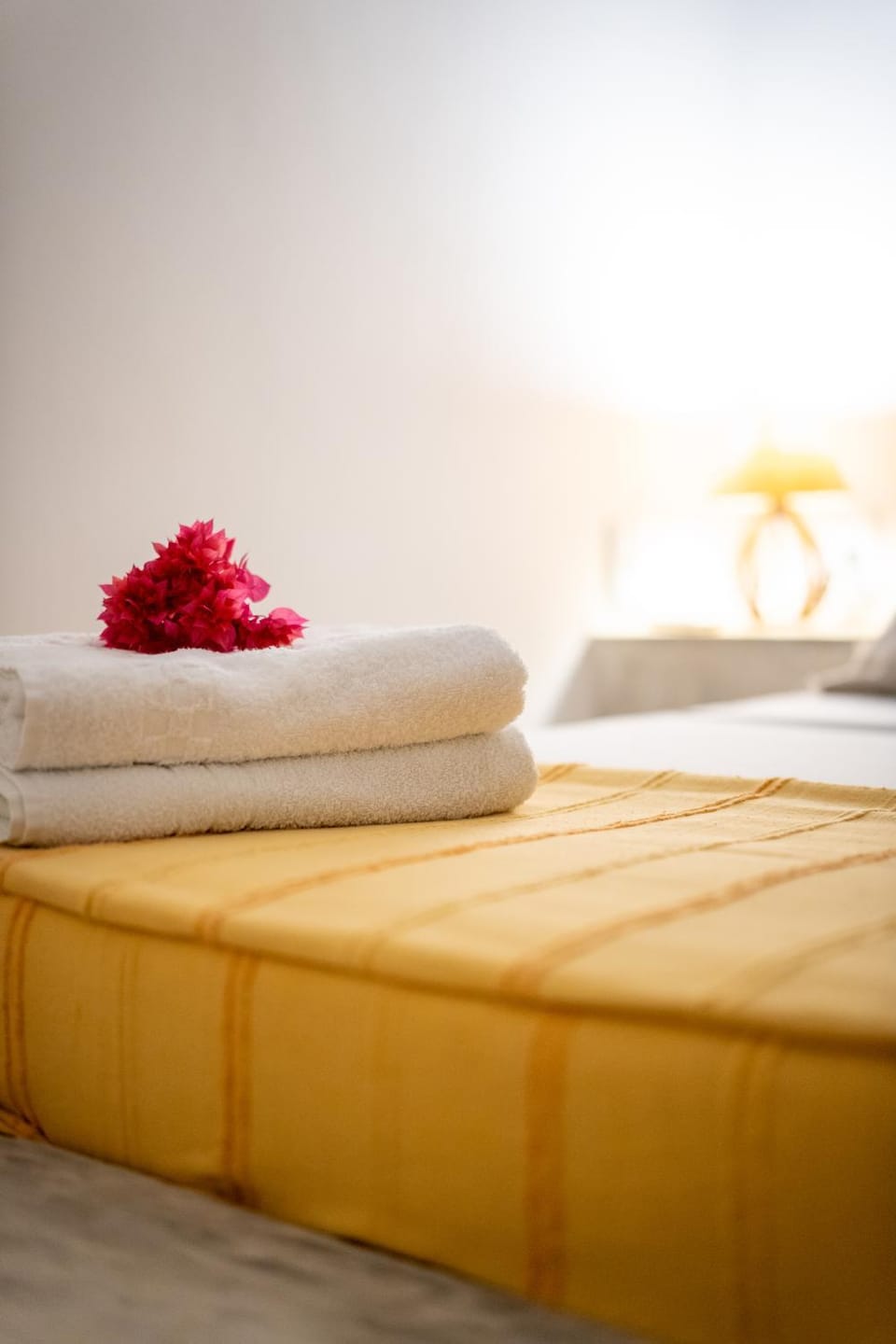 casa jasmin House in Jericoacoara