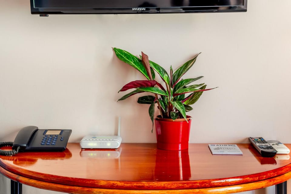 Day, Summer, TV and multimedia, Living room, Other, Decorative detail, Seating area, On site, hair dresser