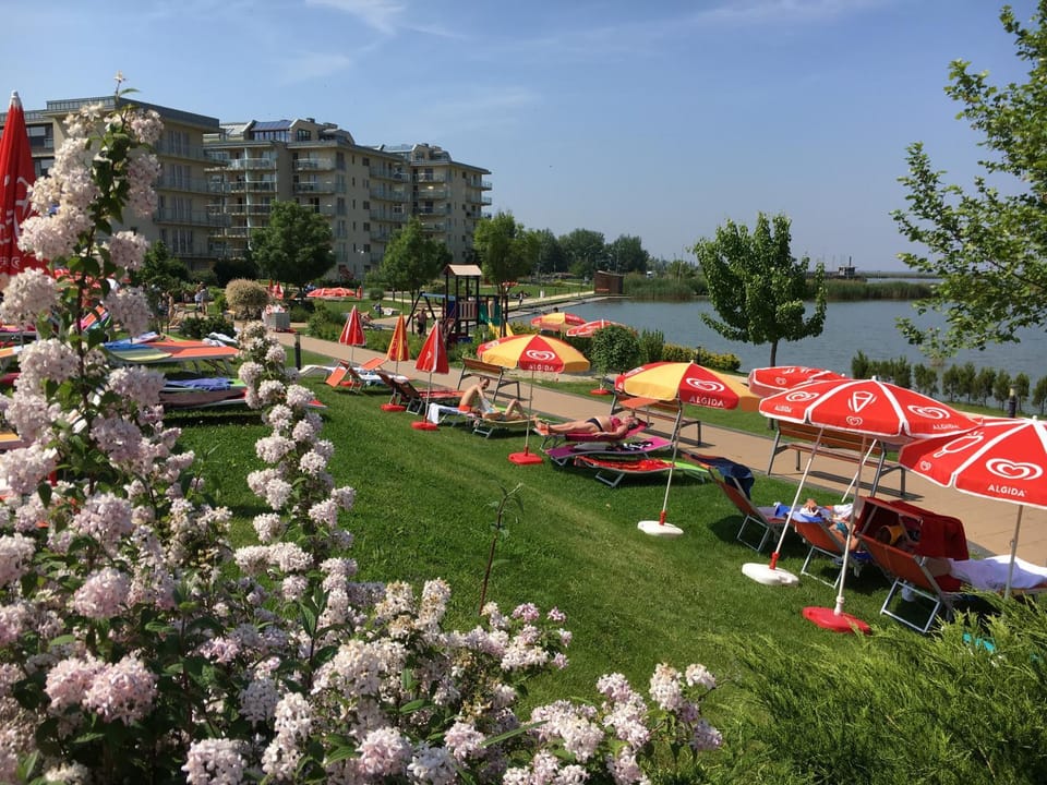 Children play ground, Fishing, Fishing, Beach, Beach, Canoeing, Canoeing, Garden view, Lake view, Lake view, Open Air Bath
