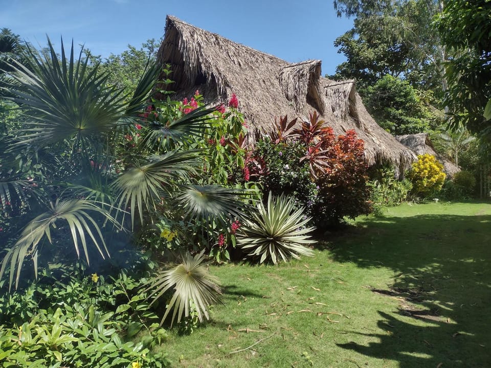 Natural landscape, Garden, On site