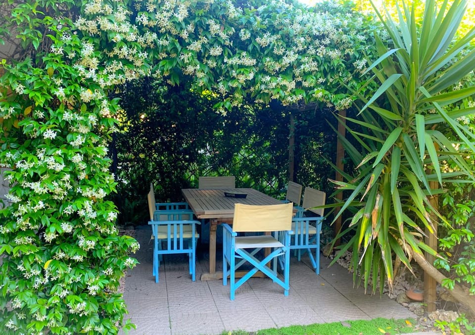 Patio, Balcony/Terrace