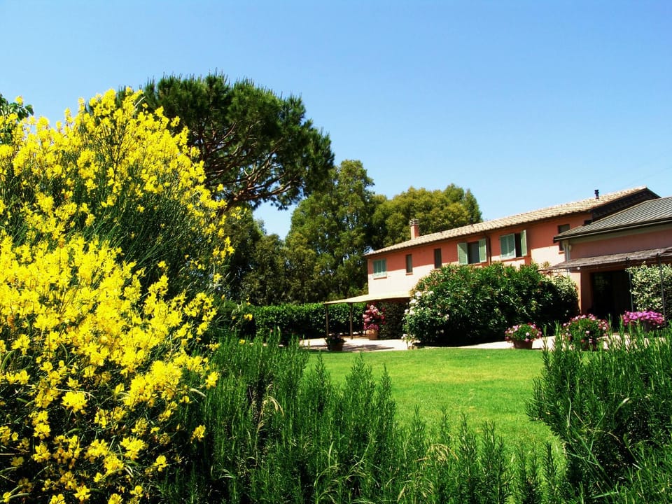 Property building, Garden, Garden view