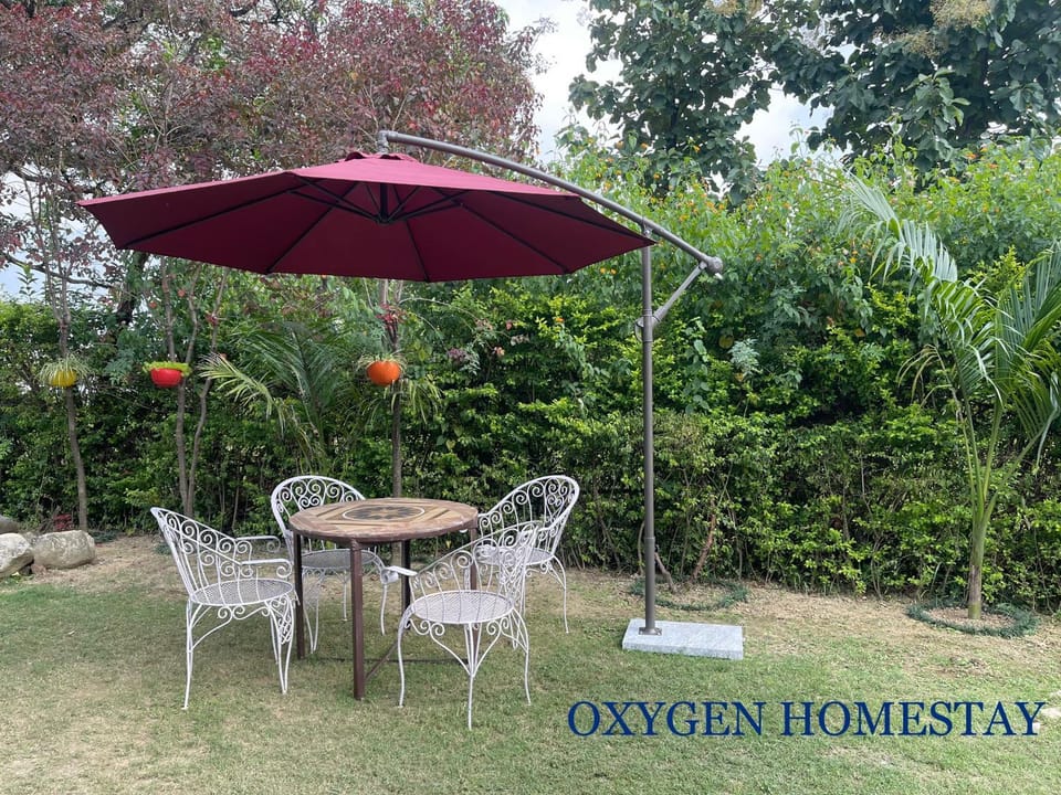 Day, Garden, Garden view