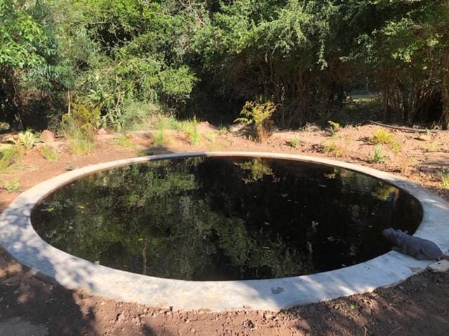 Swimming pool, Swimming pool