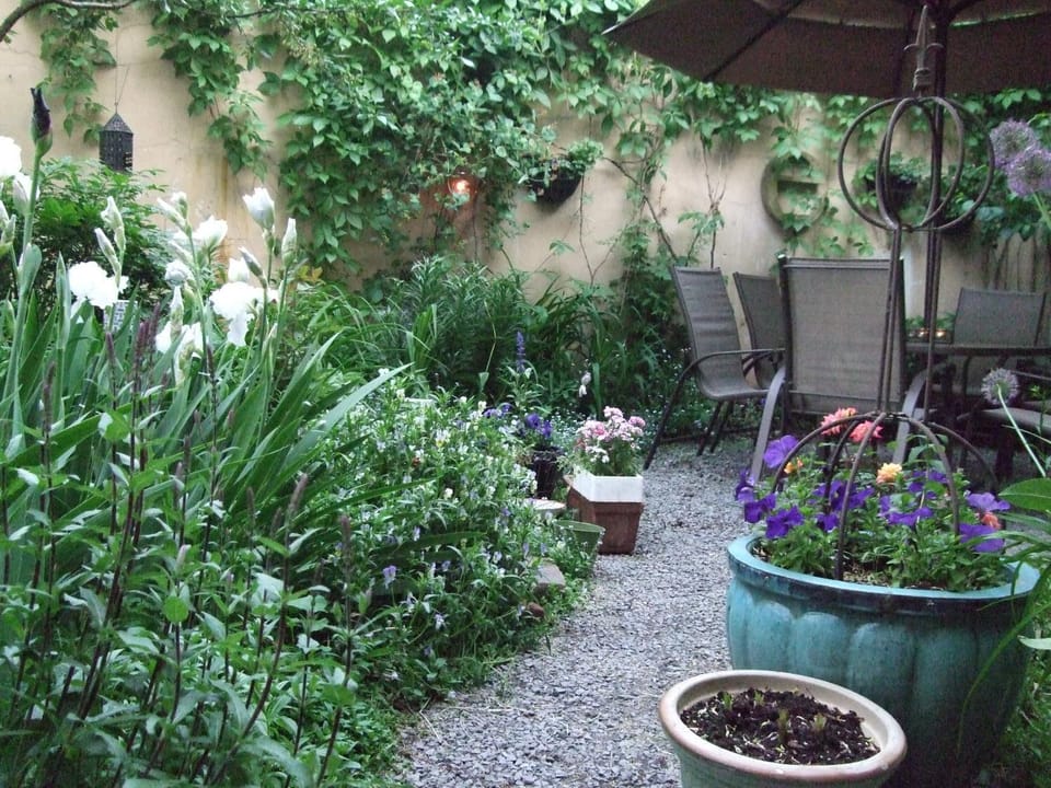 Patio, Day