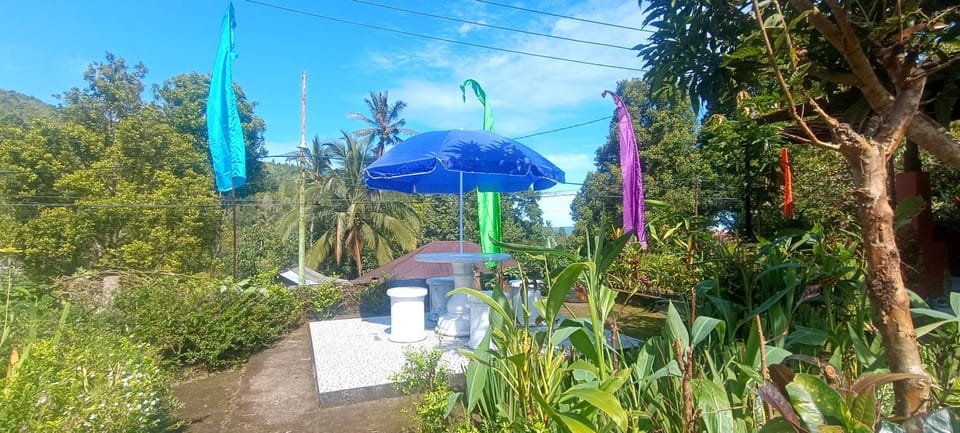 Spring, Day, Natural landscape, Garden, Seating area, Garden view