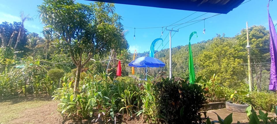 Spring, Day, Garden, Garden view