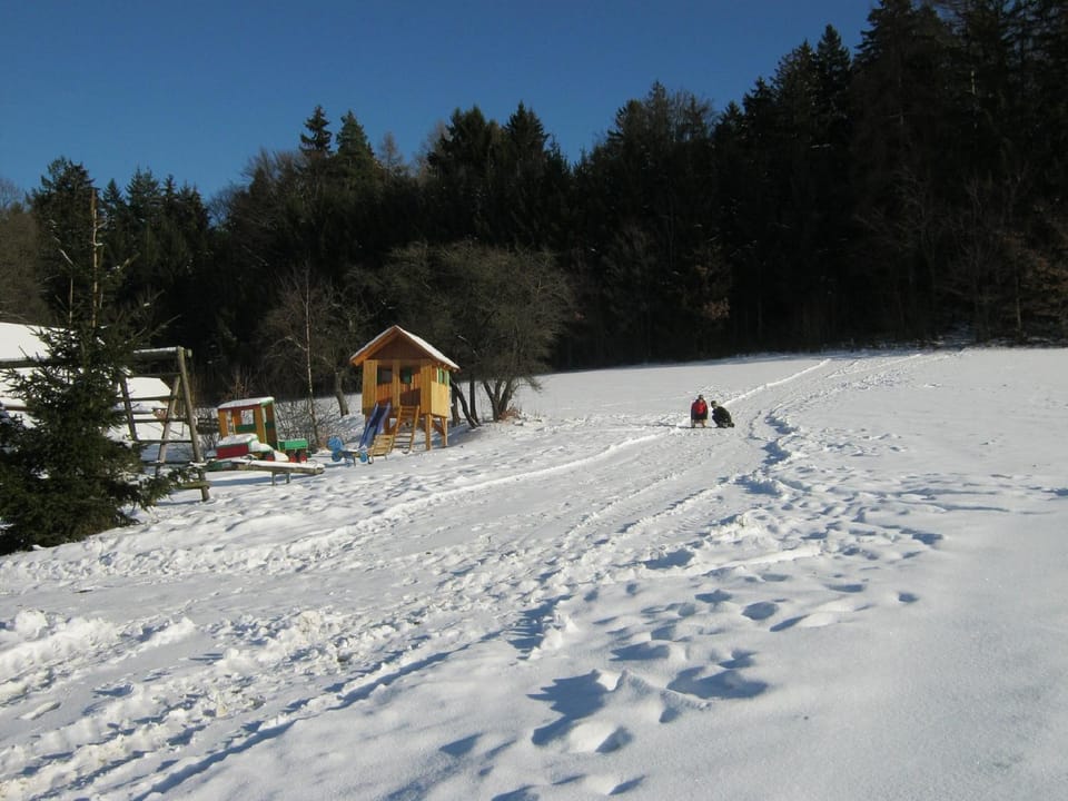 Winter, Garden