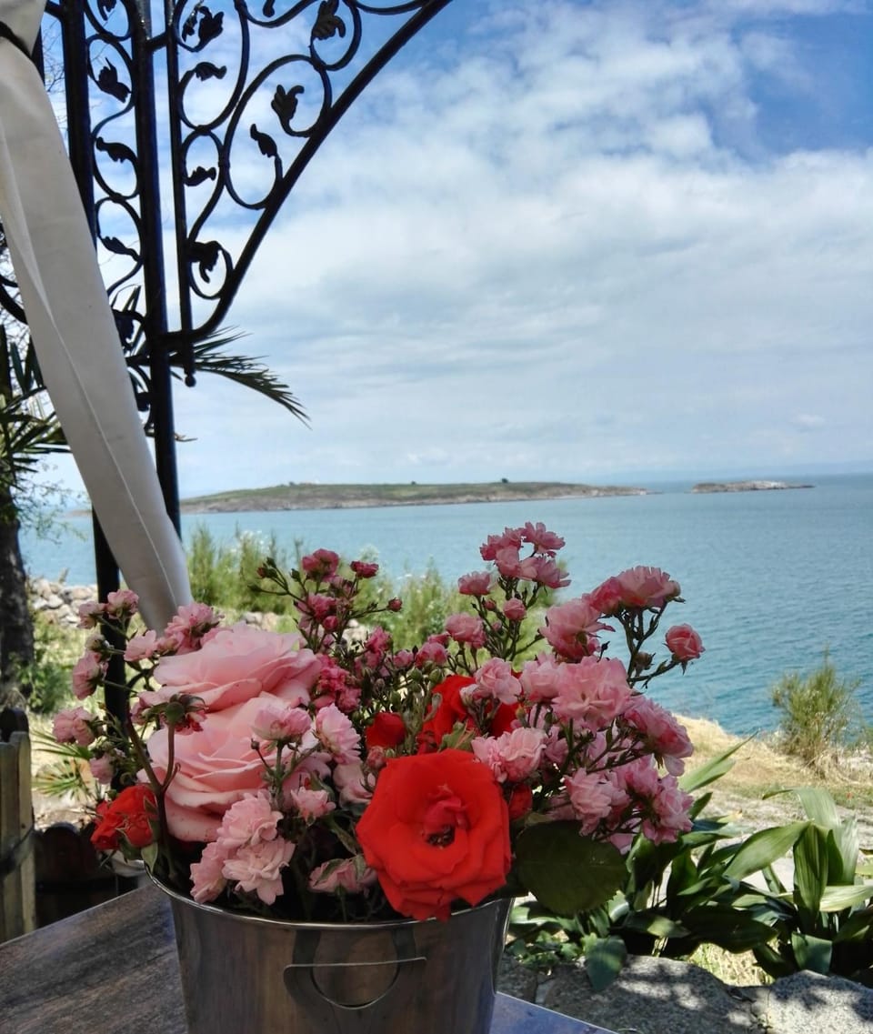 Day, Balcony/Terrace, Decorative detail, Sea view