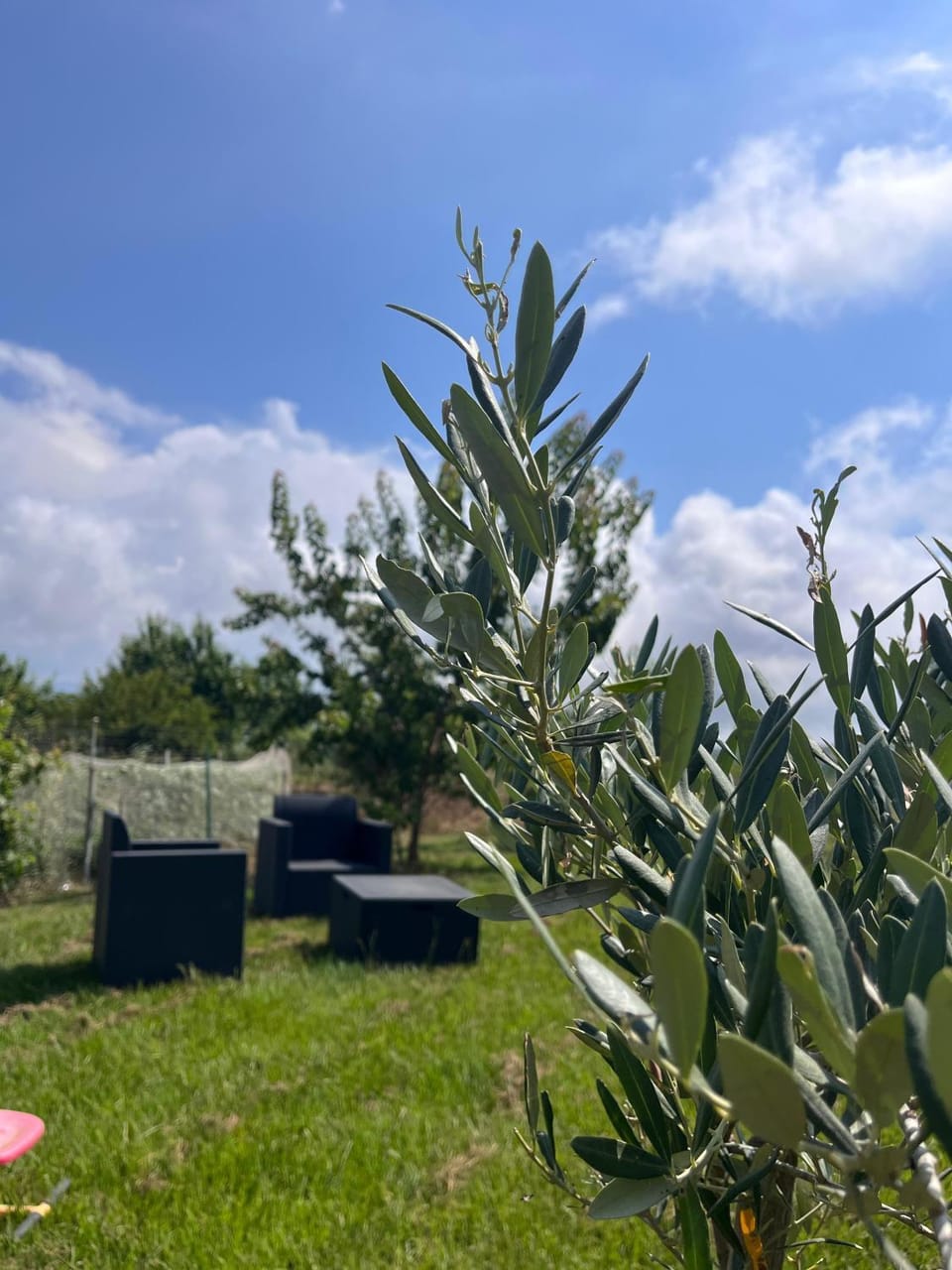 B&B Andromeda Bed and Breakfast in Calabria