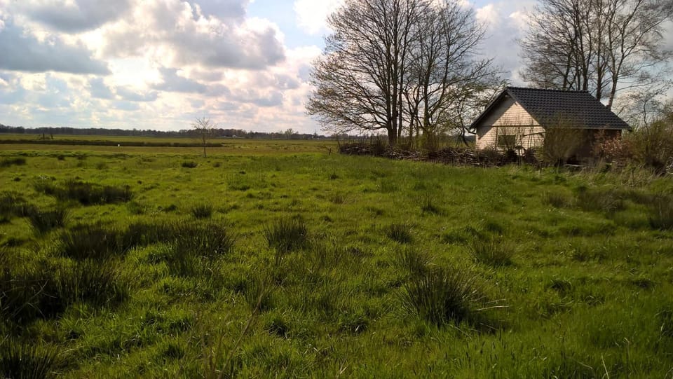 Spring, Natural landscape, On site