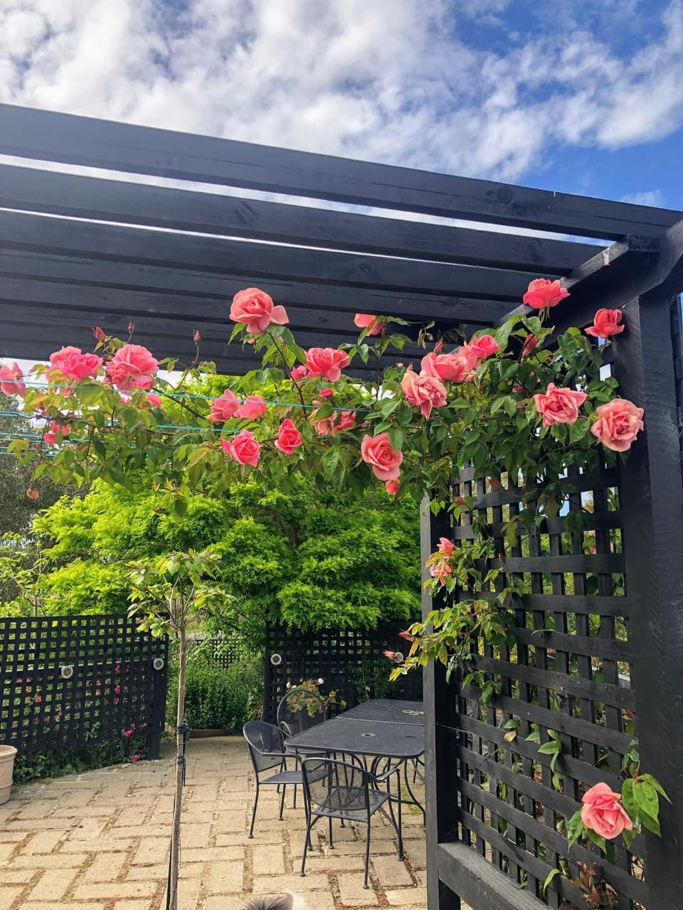 Patio, Balcony/Terrace