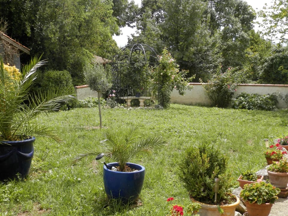 Property building, Garden view